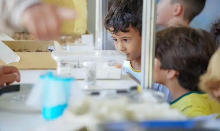SES leva educação em saúde ao Fica 2026